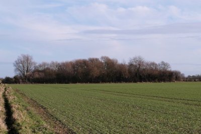 View of the reserve area from the West